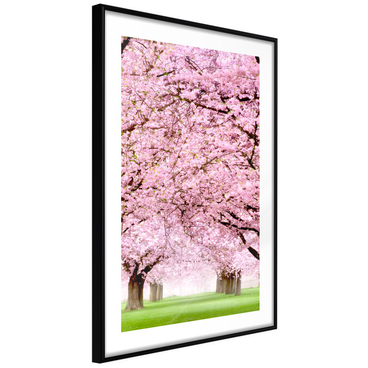 Poster Cherry Orchard - landscape of green grass and trees with pink leaves 126214 additionalImage 13
