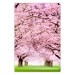 Poster Cherry Orchard - landscape of green grass and trees with pink leaves 126214
