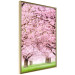 Poster Cherry Orchard - landscape of green grass and trees with pink leaves 126214 additionalThumb 14