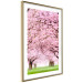 Poster Cherry Orchard - landscape of green grass and trees with pink leaves 126214 additionalThumb 6