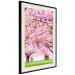 Poster Cherry Orchard - landscape of green grass and trees with pink leaves 126214 additionalThumb 3