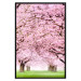 Poster Cherry Orchard - landscape of green grass and trees with pink leaves 126214 additionalThumb 25