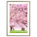 Poster Cherry Orchard - landscape of green grass and trees with pink leaves 126214 additionalThumb 17