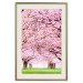 Poster Cherry Orchard - landscape of green grass and trees with pink leaves 126214 additionalThumb 20