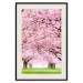 Poster Cherry Orchard - landscape of green grass and trees with pink leaves 126214 additionalThumb 19