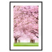 Poster Cherry Orchard - landscape of green grass and trees with pink leaves 126214 additionalThumb 15