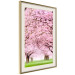Poster Cherry Orchard - landscape of green grass and trees with pink leaves 126214 additionalThumb 2