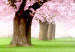 Poster Cherry Orchard - landscape of green grass and trees with pink leaves 126214 additionalThumb 8