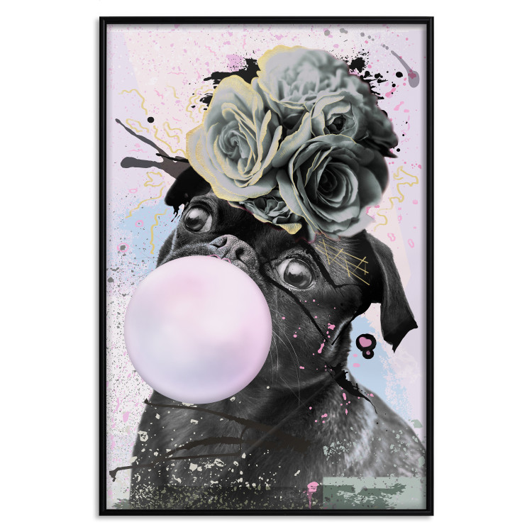 Poster Pug with Chewing Gum - black and amusing dog with flowers on a pastel background 126914 additionalImage 16