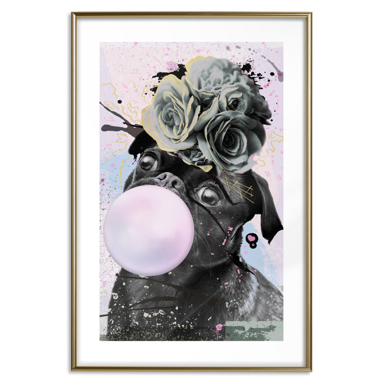Poster Pug with Chewing Gum - black and amusing dog with flowers on a pastel background 126914 additionalImage 14