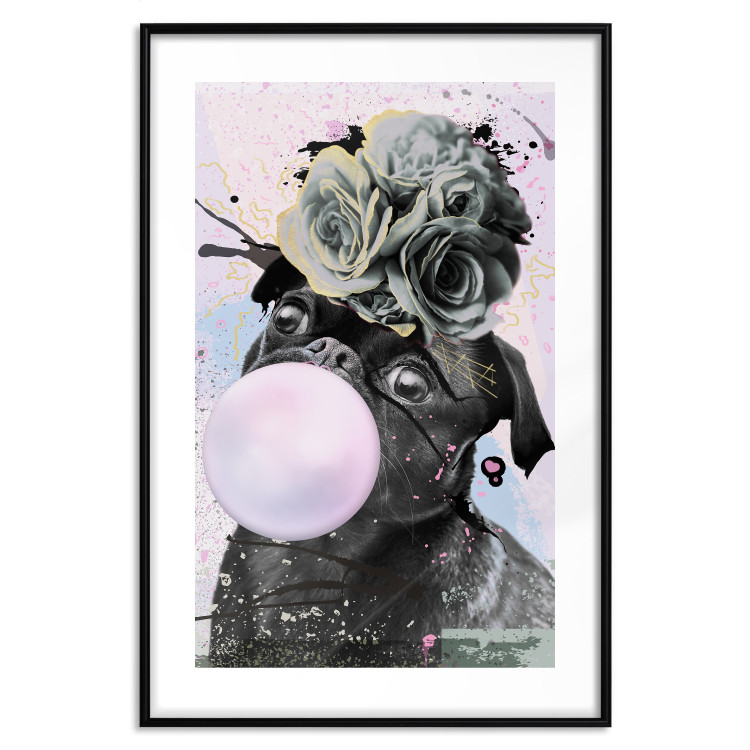 Poster Pug with Chewing Gum - black and amusing dog with flowers on a pastel background 126914 additionalImage 15