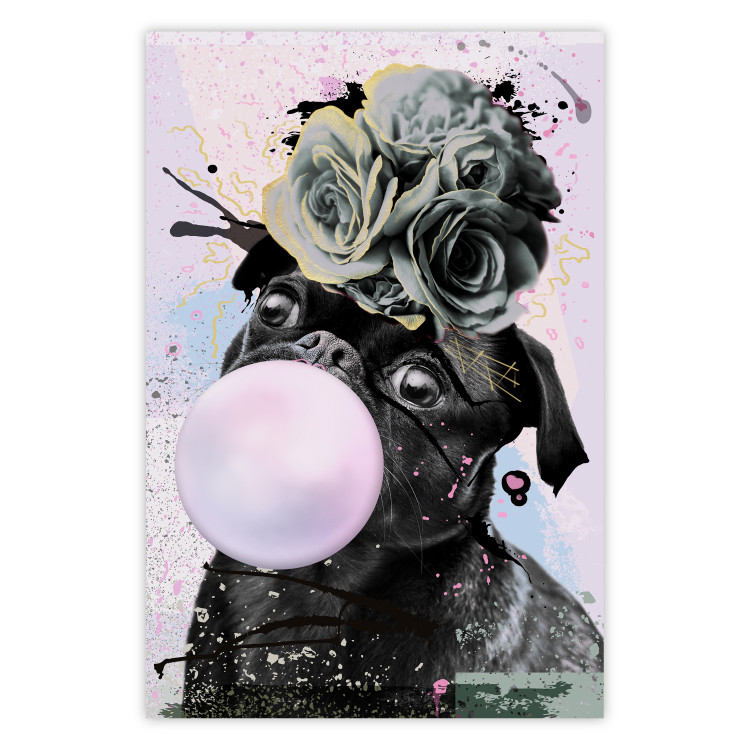 Poster Pug with Chewing Gum - black and amusing dog with flowers on a pastel background 126914