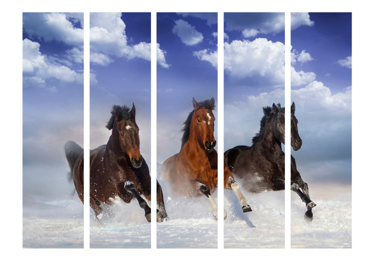 Room Divider Screen Horses in the Snow II (5-piece) - galloping animals and blue sky 128814 additionalImage 3