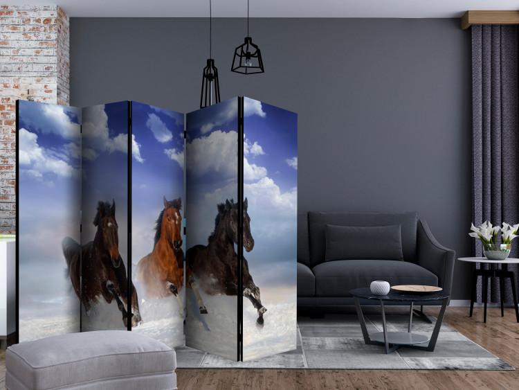 Room Divider Screen Horses in the Snow II (5-piece) - galloping animals and blue sky 128814 additionalImage 4
