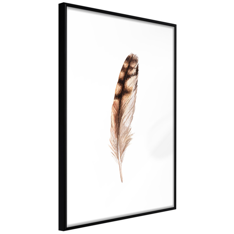 Wall Poster Magic Feather - brown bird feather on a contrasting white background 129914 additionalImage 6