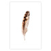 Wall Poster Magic Feather - brown bird feather on a contrasting white background 129914 additionalThumb 19