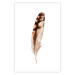 Wall Poster Magic Feather - brown bird feather on a contrasting white background 129914