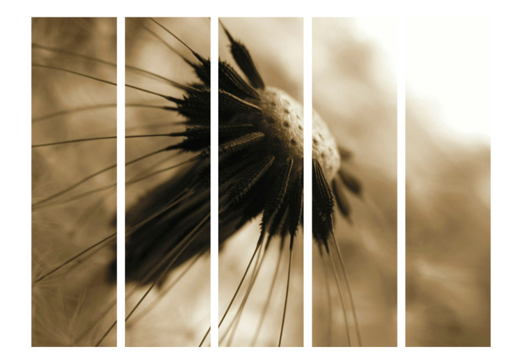 Room Separator Dandelion - Sepia II (5-piece) - close-up of a delicate flower 132814 additionalImage 3