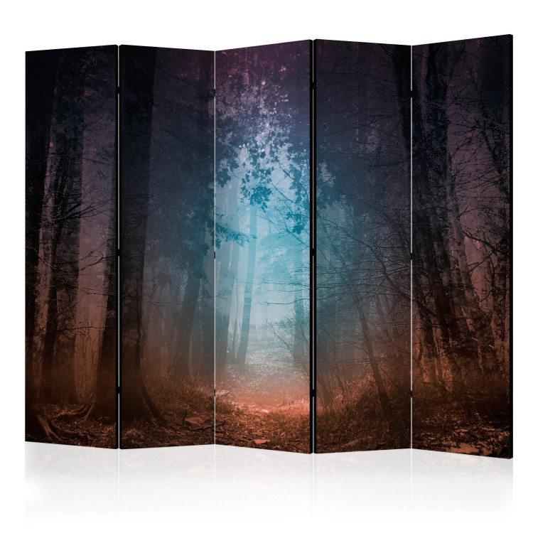 Room Divider Screen Keep Breathing II - landscape of a dark forest with colorful light 134114