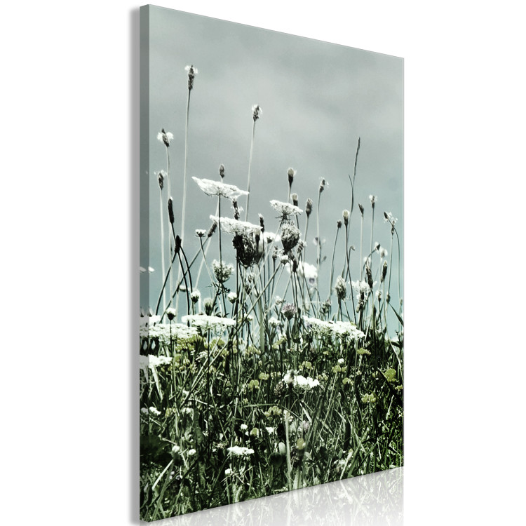 Canvas Field of white poppies - photo of landscape with gray sky 137214 additionalImage 2