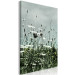 Canvas Field of white poppies - photo of landscape with gray sky 137214 additionalThumb 2