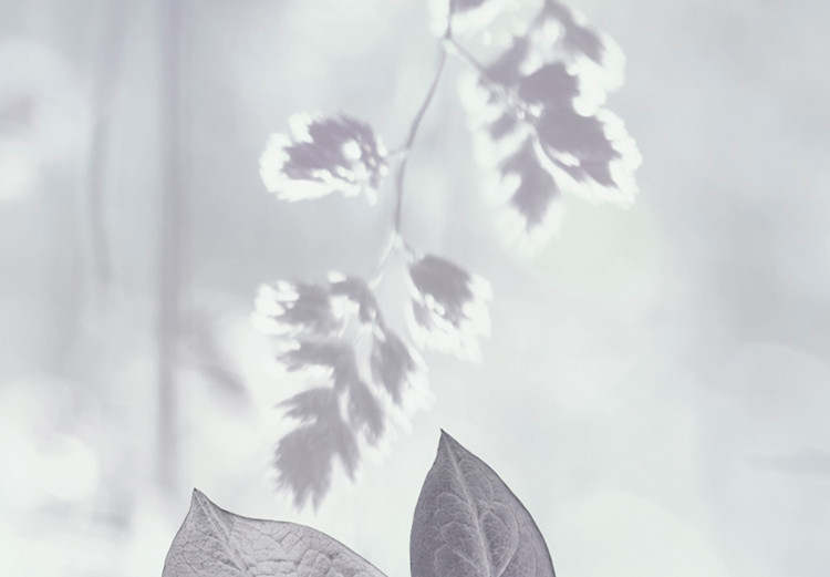 Canvas Print Delicate Ivy (1-piece) - landscape in gray-toned leaves 143814 additionalImage 5