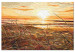 Paint by Number Kit Warm Breeze - Glittering Setting Sun Against the Sea 145214 additionalThumb 5