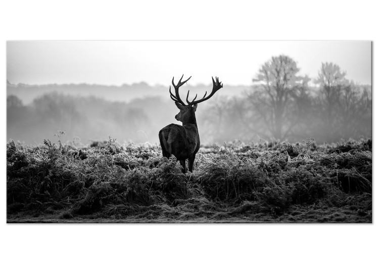 Large canvas print Deer in the Wild II [Large Format] 149114