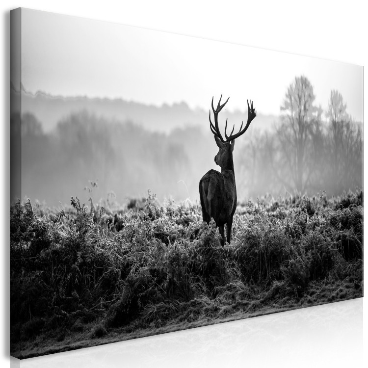 Large canvas print Deer in the Wild II [Large Format] 149114 additionalImage 2