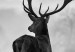 Large canvas print Deer in the Wild II [Large Format] 149114 additionalThumb 4