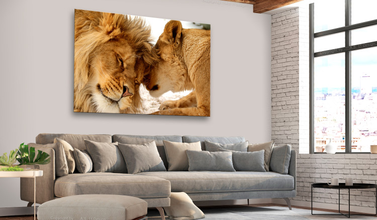 Large canvas print Lion Tenderness [Large Format] 150614 additionalImage 5