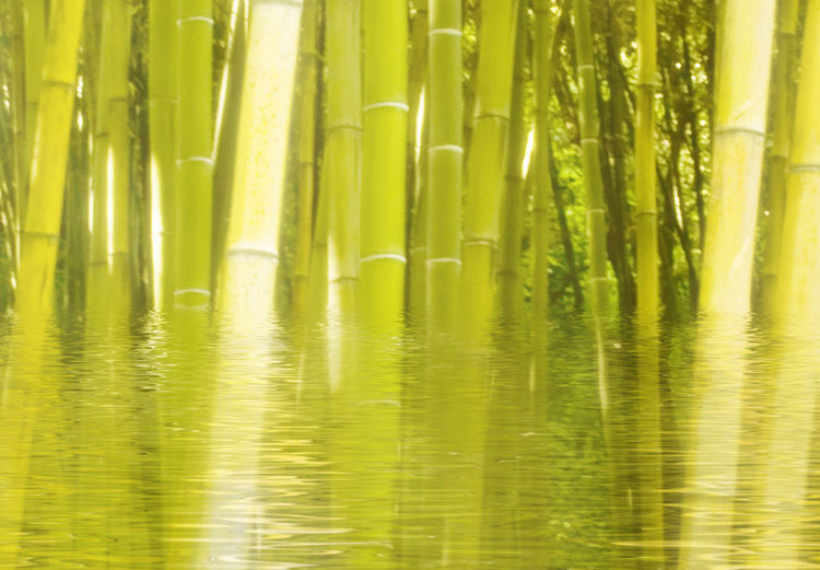 Canvas Print Bamboo reflected on water 58814 additionalImage 5