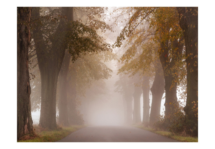 Wall Mural Dead-end Street - Landscape with a Road Among Trees with Yellow Leaves in the Mist 60514 additionalImage 1