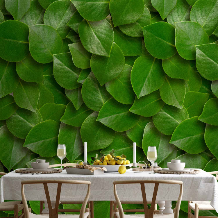 Wall Mural Breath of nature - uniform background in a pattern of stacked green tree leaves 64414 additionalImage 4