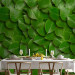 Wall Mural Breath of nature - uniform background in a pattern of stacked green tree leaves 64414 additionalThumb 4
