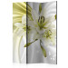 Room Divider Screen Green Enchantment - romantic lily flower with subtle green detail 95514