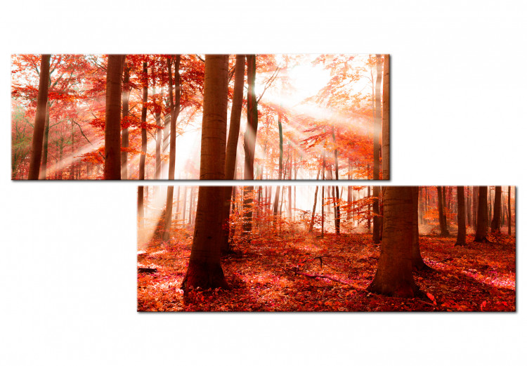Canvas Nature: Autumnal Forest 97514