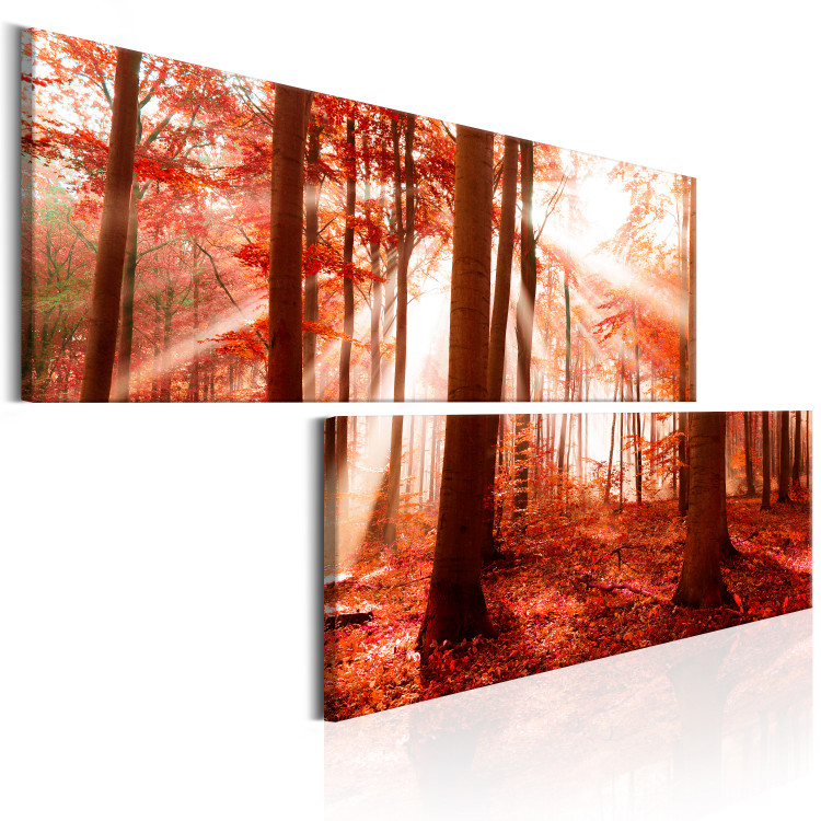 Canvas Nature: Autumnal Forest 97514 additionalImage 2