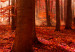 Canvas Nature: Autumnal Forest 97514 additionalThumb 4
