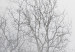 Canvas Print Trees In The Fog (1 Part) Vertical 116524 additionalThumb 4