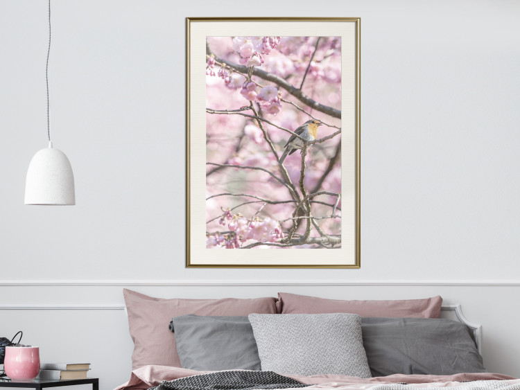 Poster Robin on Tree - small bird among branches and pink apple blossoms 116724 additionalImage 23