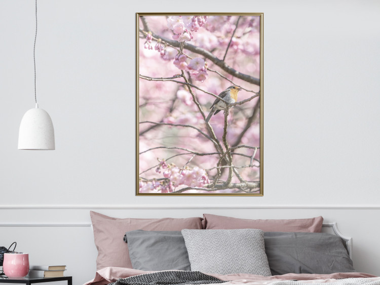 Poster Robin on Tree - small bird among branches and pink apple blossoms 116724 additionalImage 7