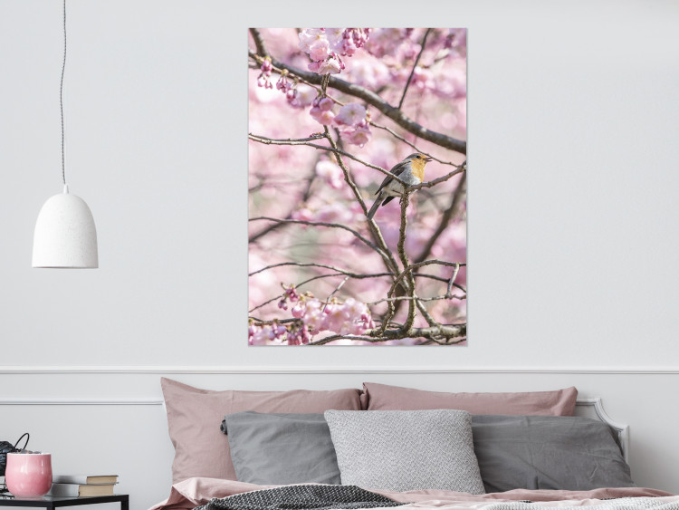 Poster Robin on Tree - small bird among branches and pink apple blossoms 116724 additionalImage 21