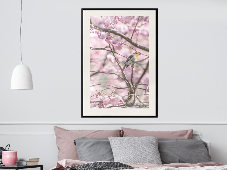 Poster Robin on Tree - small bird among branches and pink apple blossoms 116724 additionalImage 22