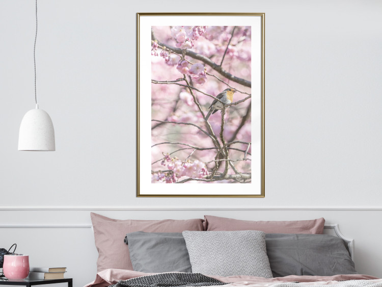 Poster Robin on Tree - small bird among branches and pink apple blossoms 116724 additionalImage 13