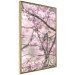 Poster Robin on Tree - small bird among branches and pink apple blossoms 116724 additionalThumb 12