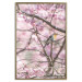 Poster Robin on Tree - small bird among branches and pink apple blossoms 116724 additionalThumb 17