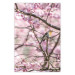 Poster Robin on Tree - small bird among branches and pink apple blossoms 116724