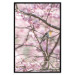 Poster Robin on Tree - small bird among branches and pink apple blossoms 116724 additionalThumb 16