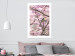 Poster Robin on Tree - small bird among branches and pink apple blossoms 116724 additionalThumb 4